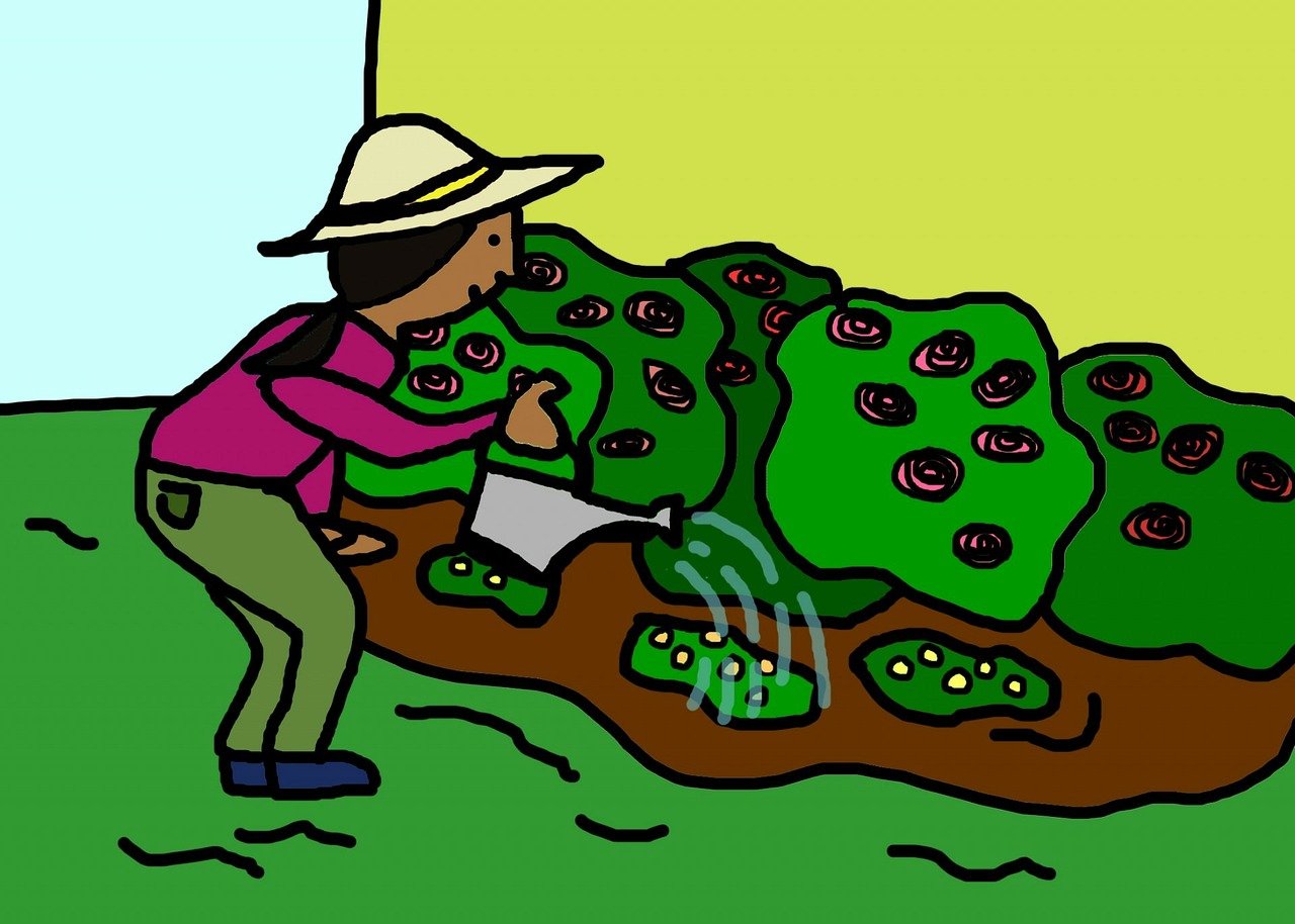 最新草克比动画视频探索与赏析
