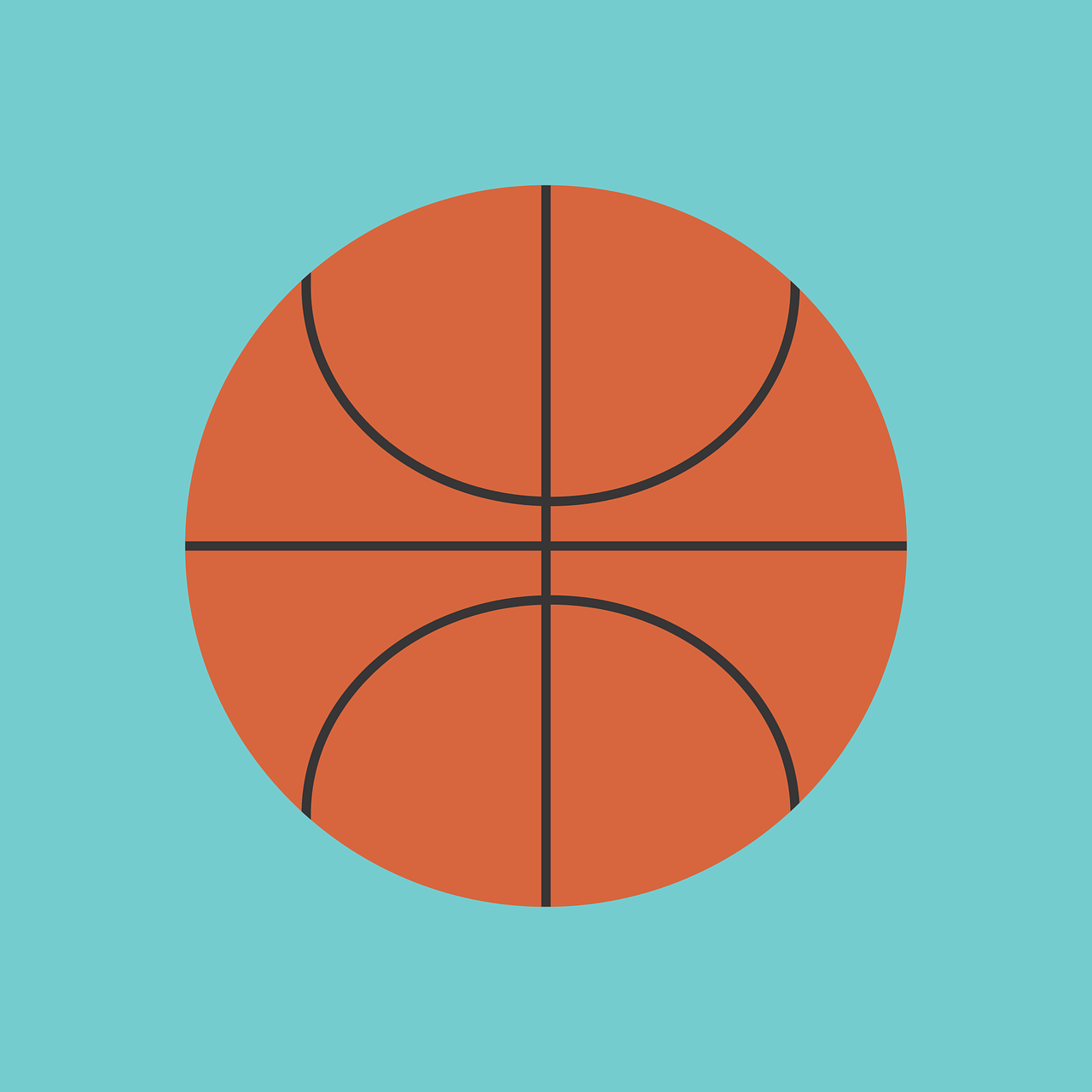 NBA篮球明星头像，魅力展现与背后故事