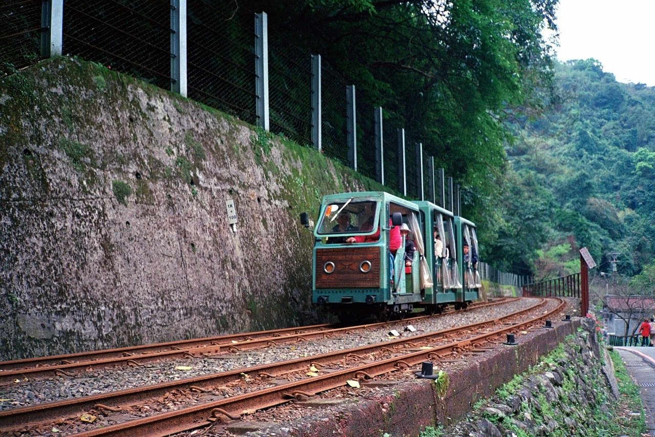 探寻电影艺术深层内涵与独特魅力的旅程，从除去巫山出发