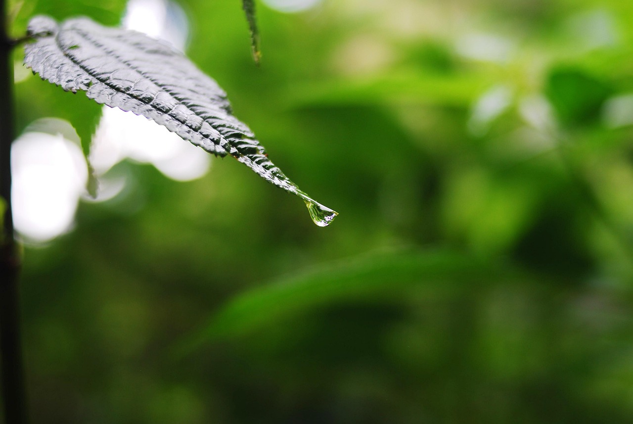 沃生生物股票行情深度解析，最新动态与市场趋势分析