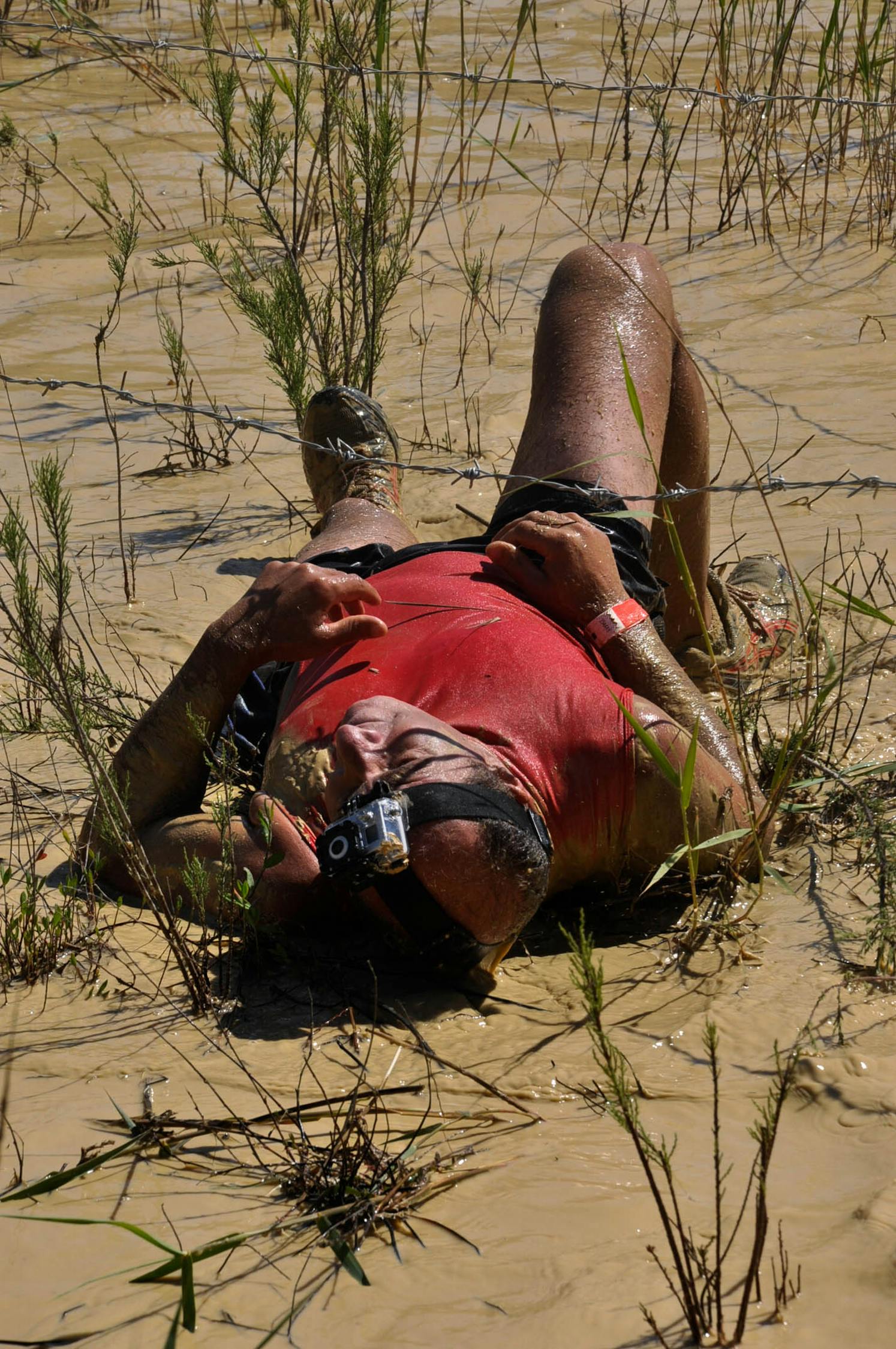 2017年最新网贷平台破产动态与行业变革下的挑战应对