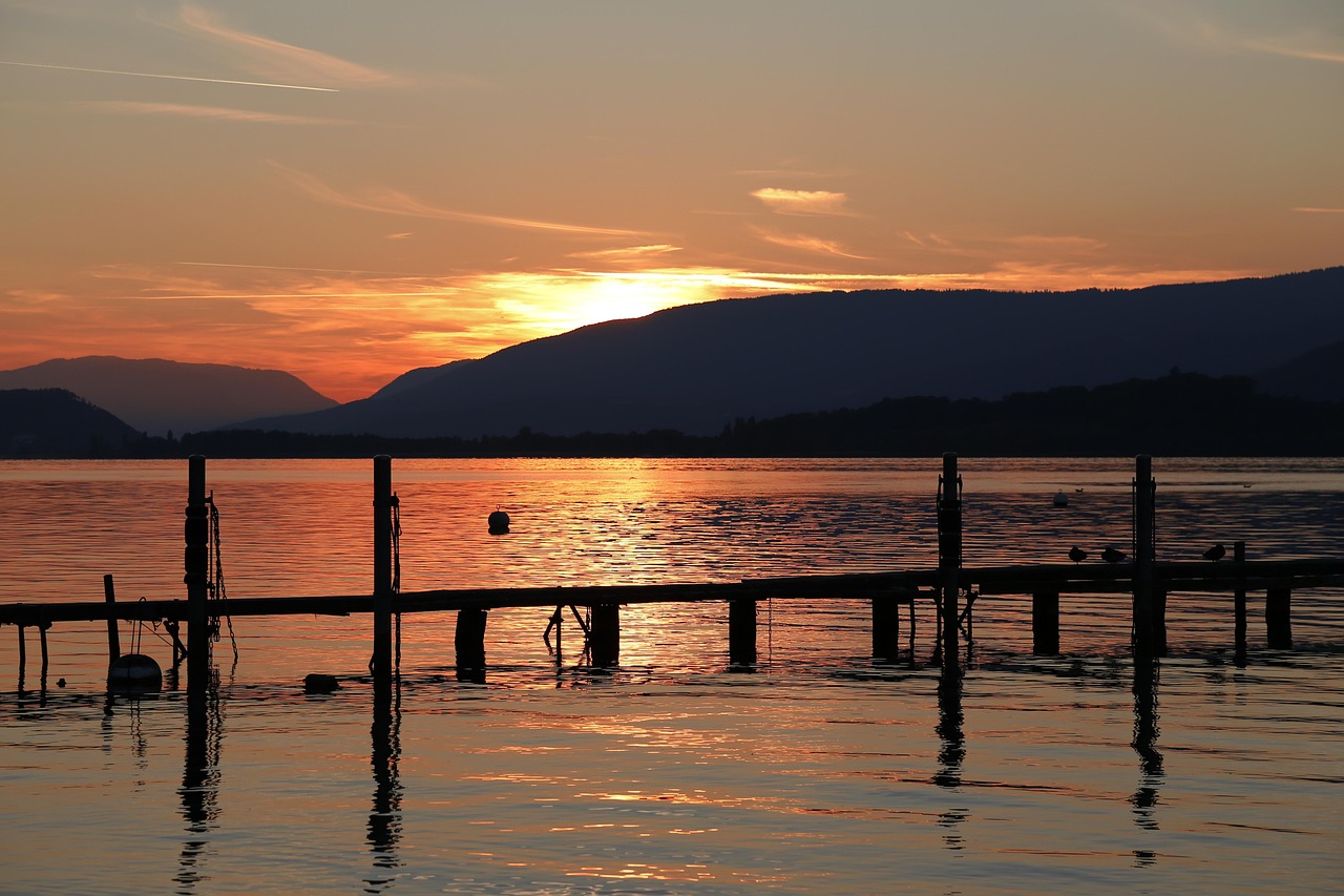 中国疫情每日最新动态更新