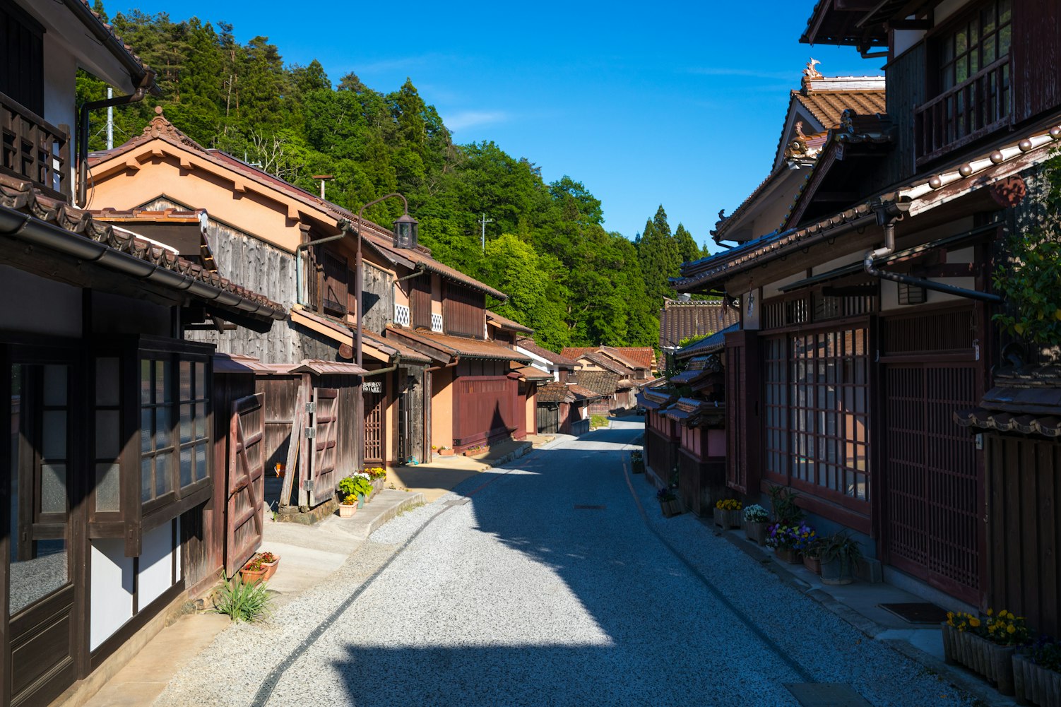 二人动漫闺蜜头像,魅力与情感连结的绝美瞬间