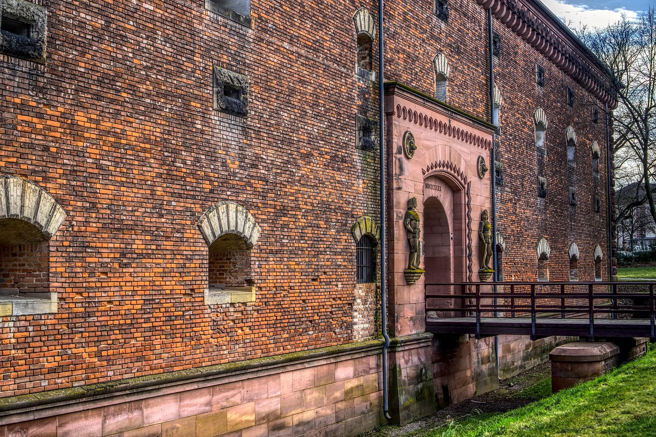 故宫猫最新动态，守护历史与现代的和谐共生之旅