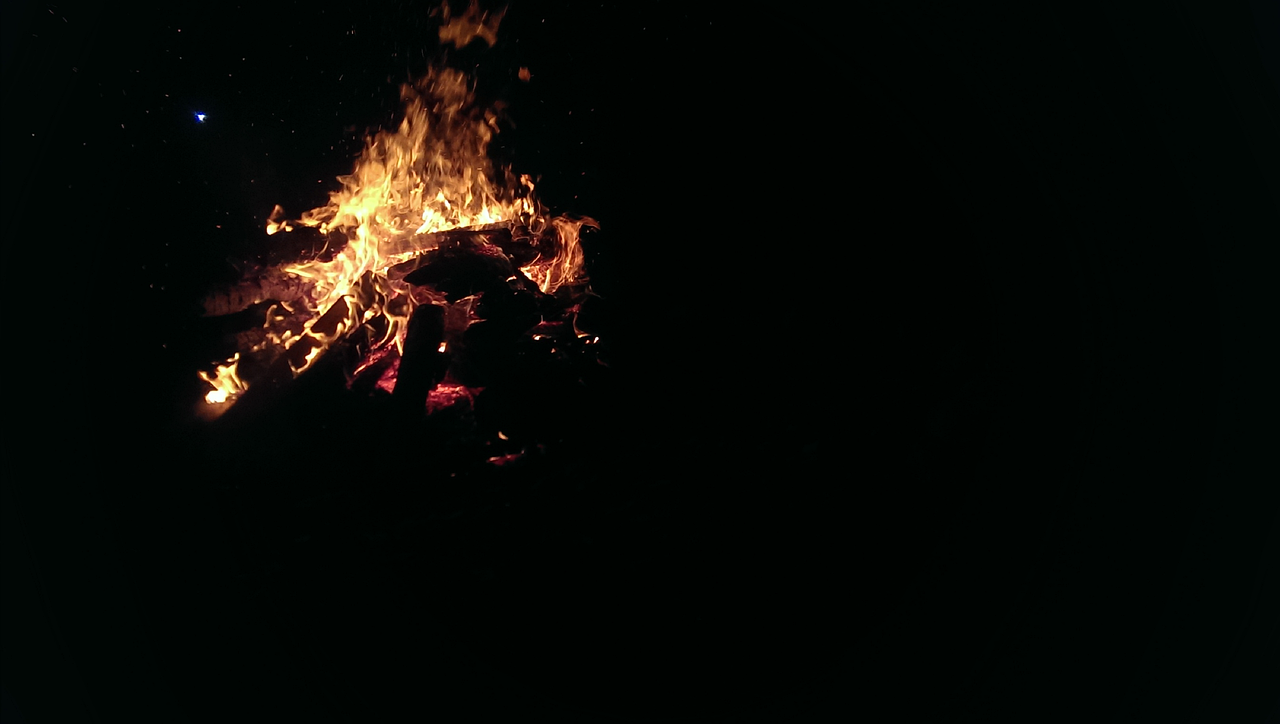 深夜热门精选，探索夜的魅力与无限可能