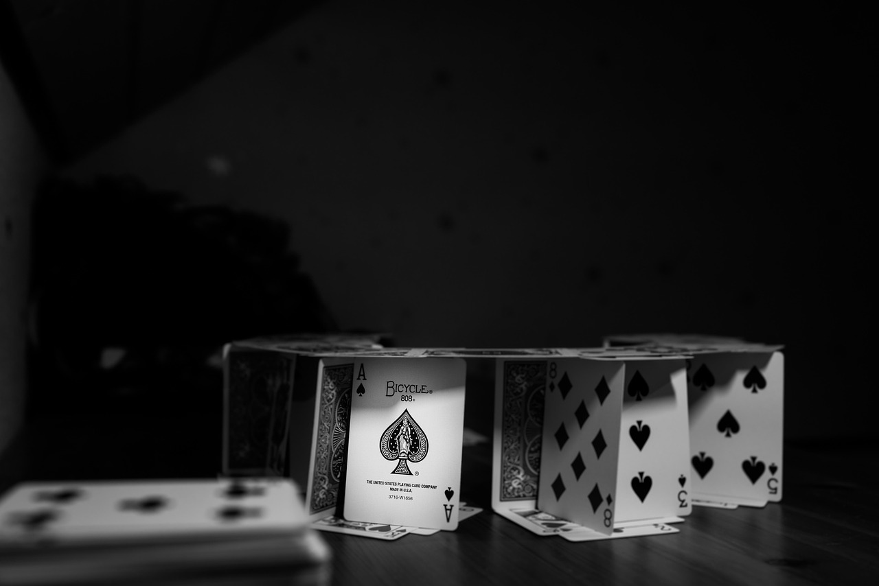 深度解读与探索，揭示背后的奥秘