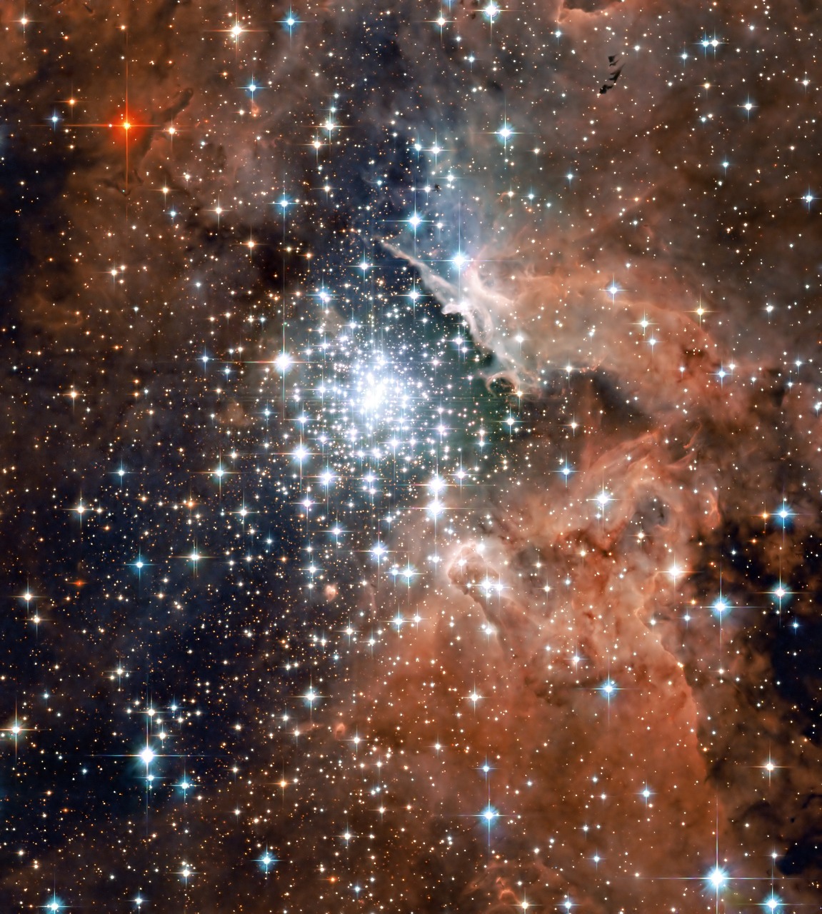 范的明星,光芒四射的闪耀之星之路