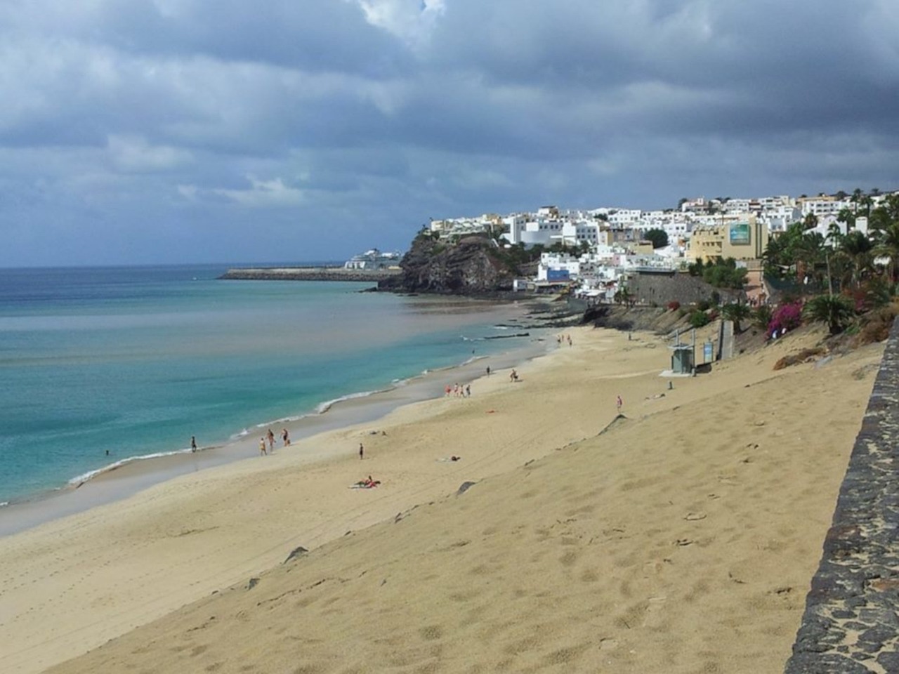 SNT币最新动态,深度剖析市场趋势与前景展望