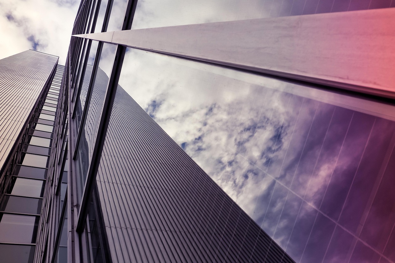 官方最新疫情动态更新,影响与趋势