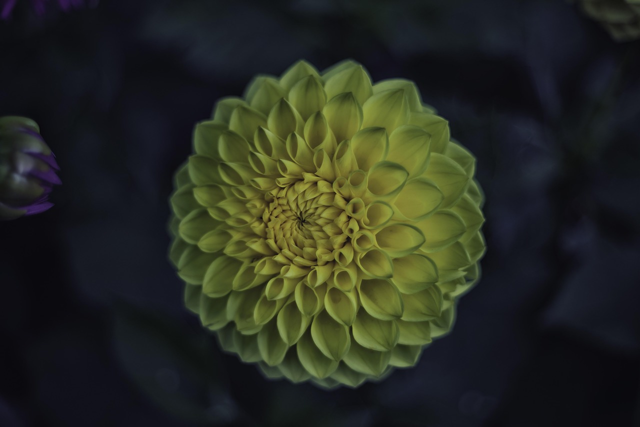 昆明反贪最新进展动态报告