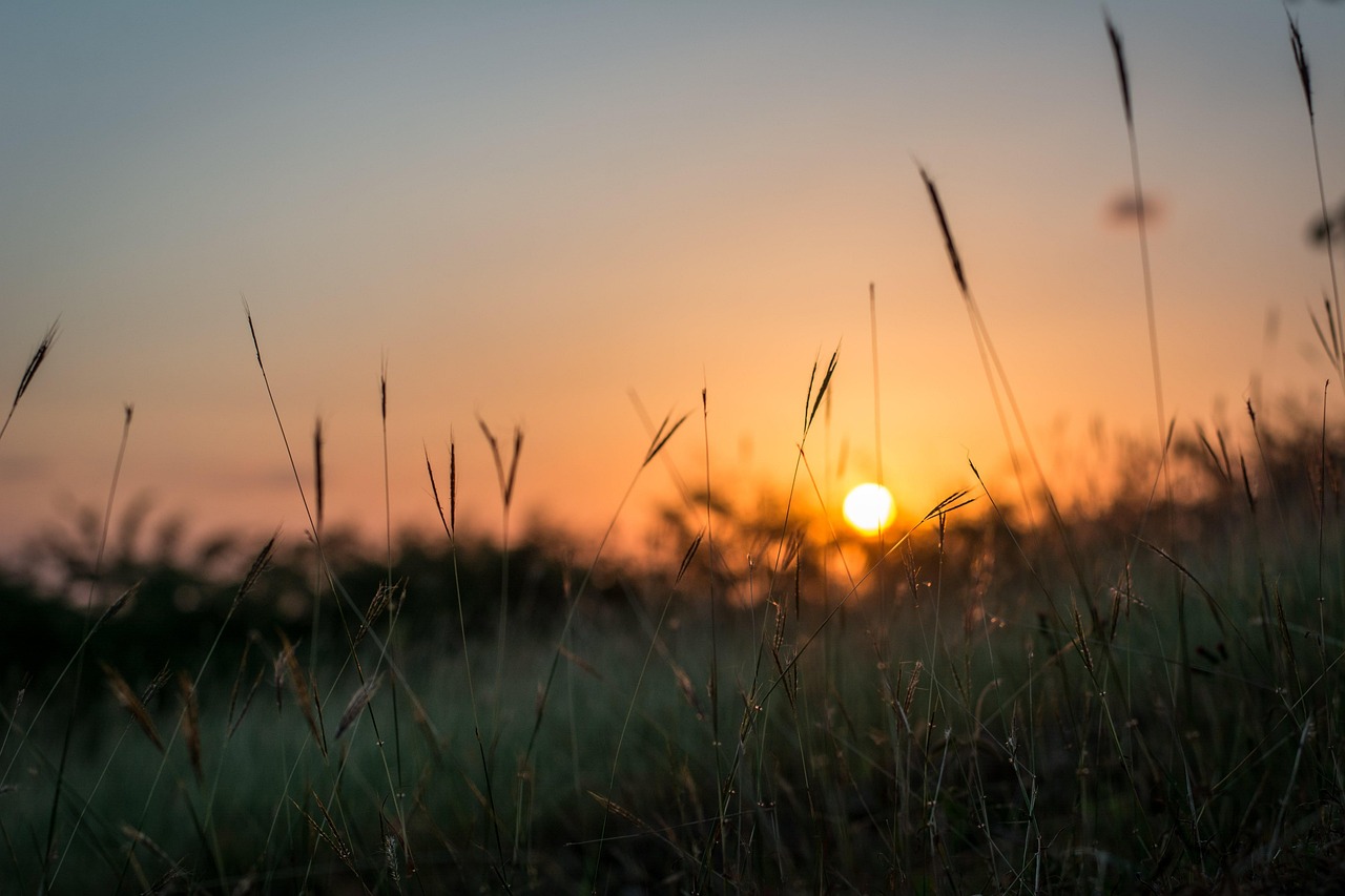 大槻响最新资讯深度解读与动态聚焦