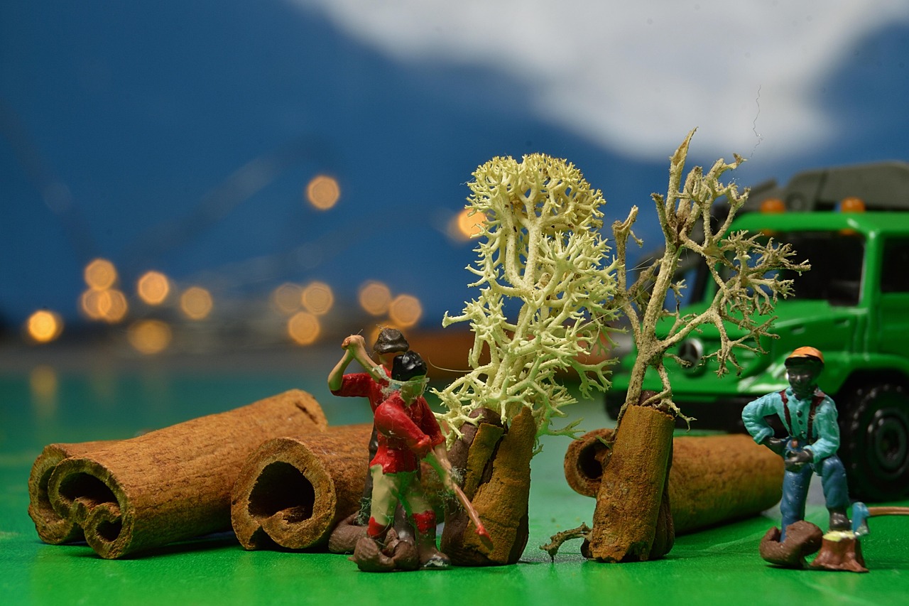 最新抓乐玩具动态,引领潮流,激发孩子创造力无限!