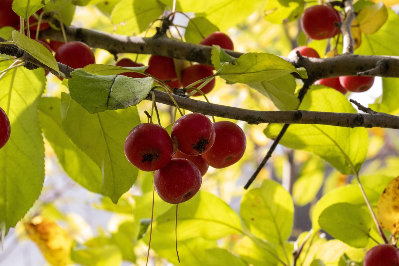 深圳坂田旧改最新动态资讯