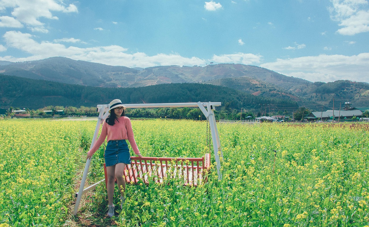 何以为家，探寻生活的真实与情感的深度之旅