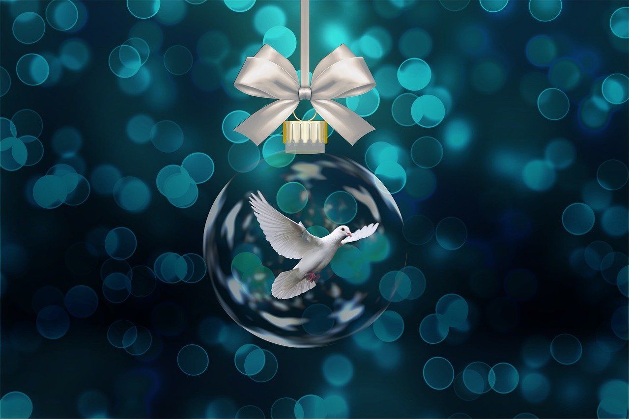 九零后明星的青春力量与闪耀光芒