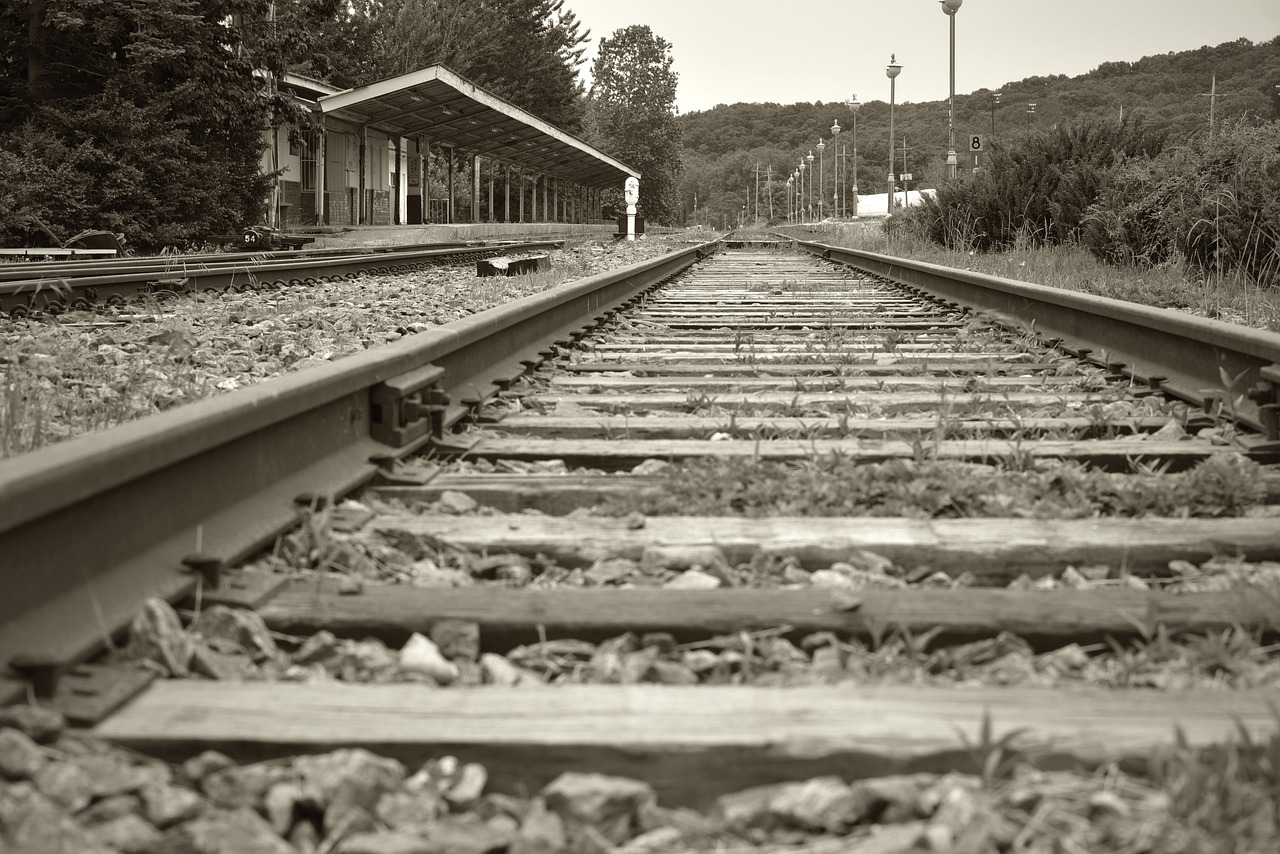 最新无本生利偏门项目的探索与实践