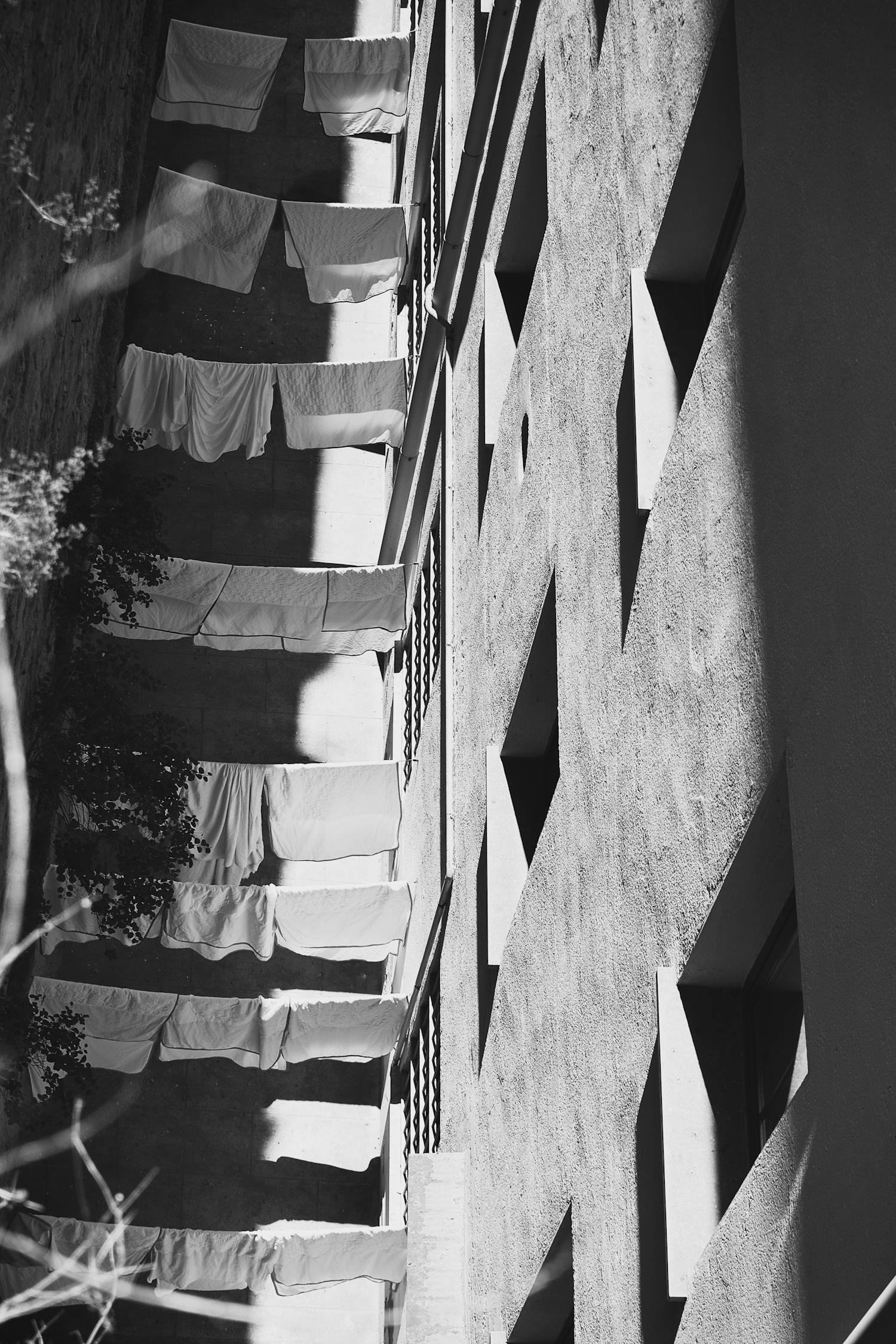 惊沙电影的独特魅力与艺术探索之旅