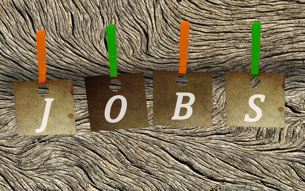 秦皇岛最新招聘信息概览,最新职位与招聘动态更新通知