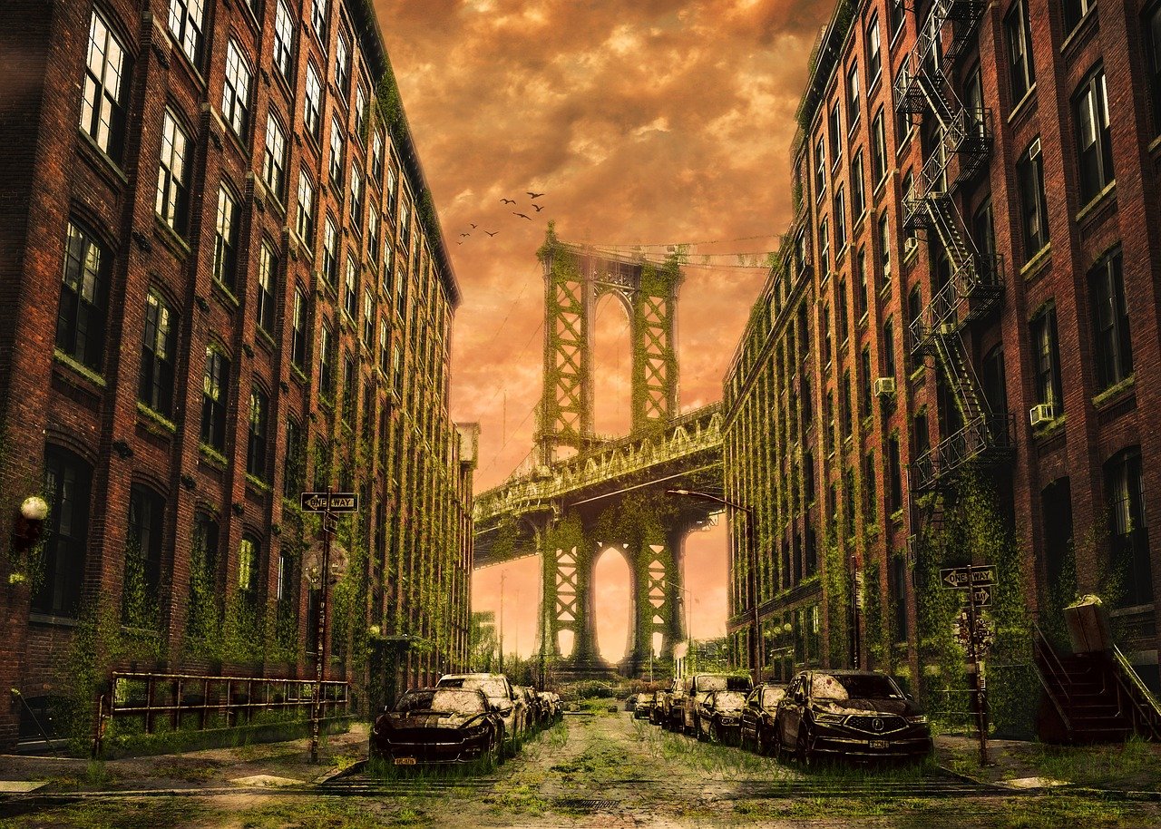 光影盛宴,电影夜孔雀的艺术之旅