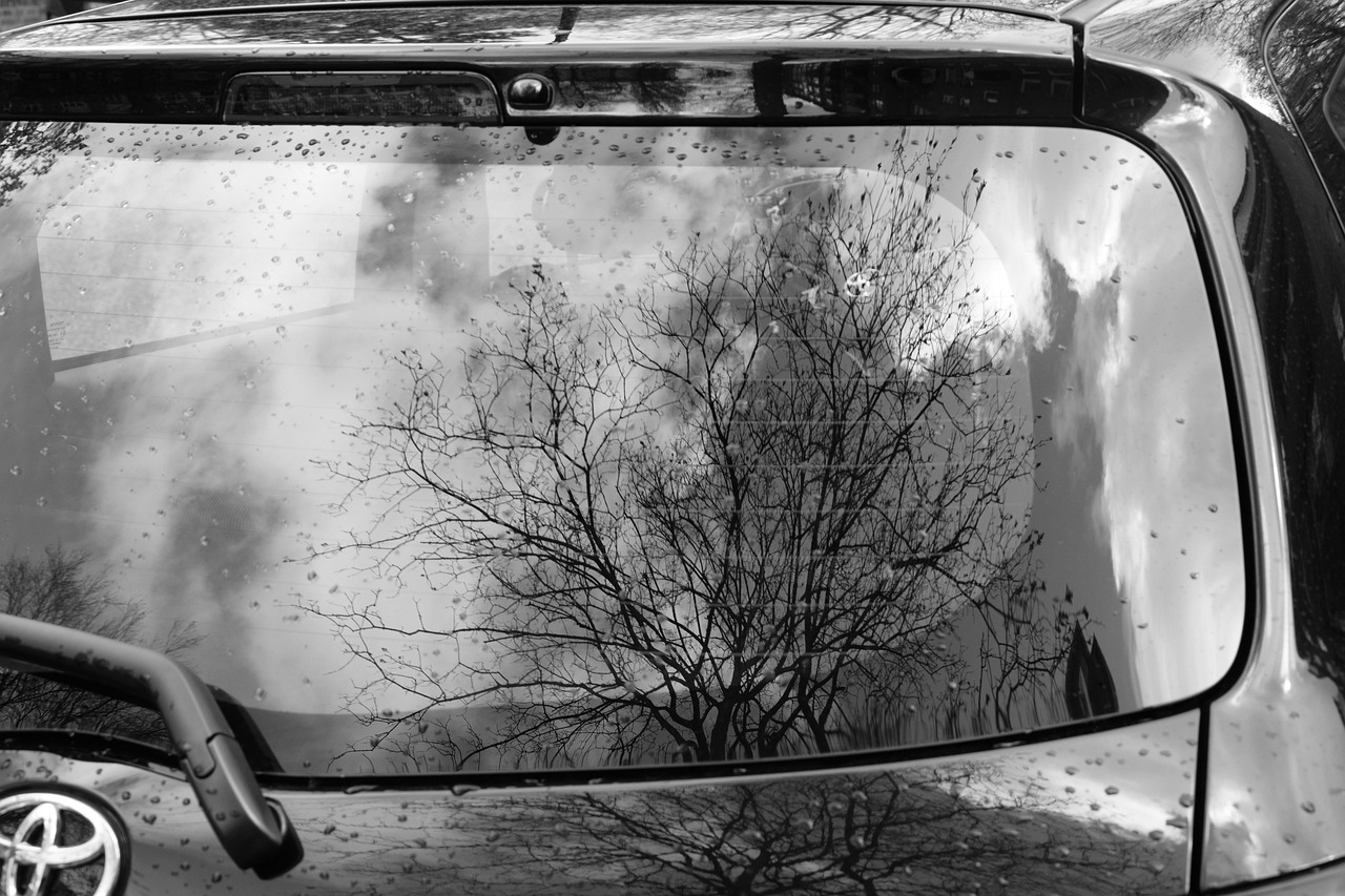 东欧电影,历史、风格与影响的探索