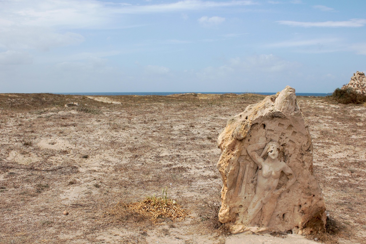 金星最新动态揭秘,神秘面纱下的新发现与探索进展
