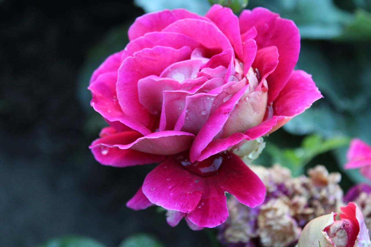 双鸭山最新资讯概览,最新动态一网打尽!