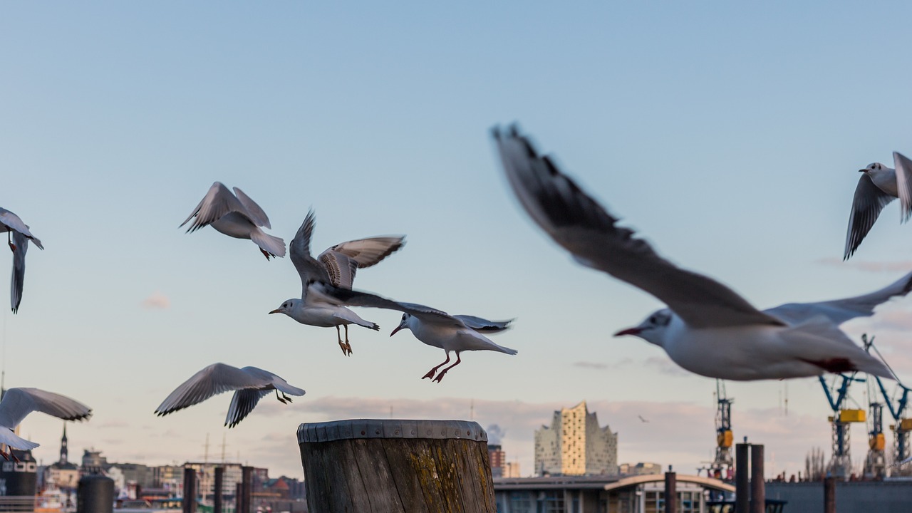 全球疫苗进展动态及未来展望,最新资讯与预测分析