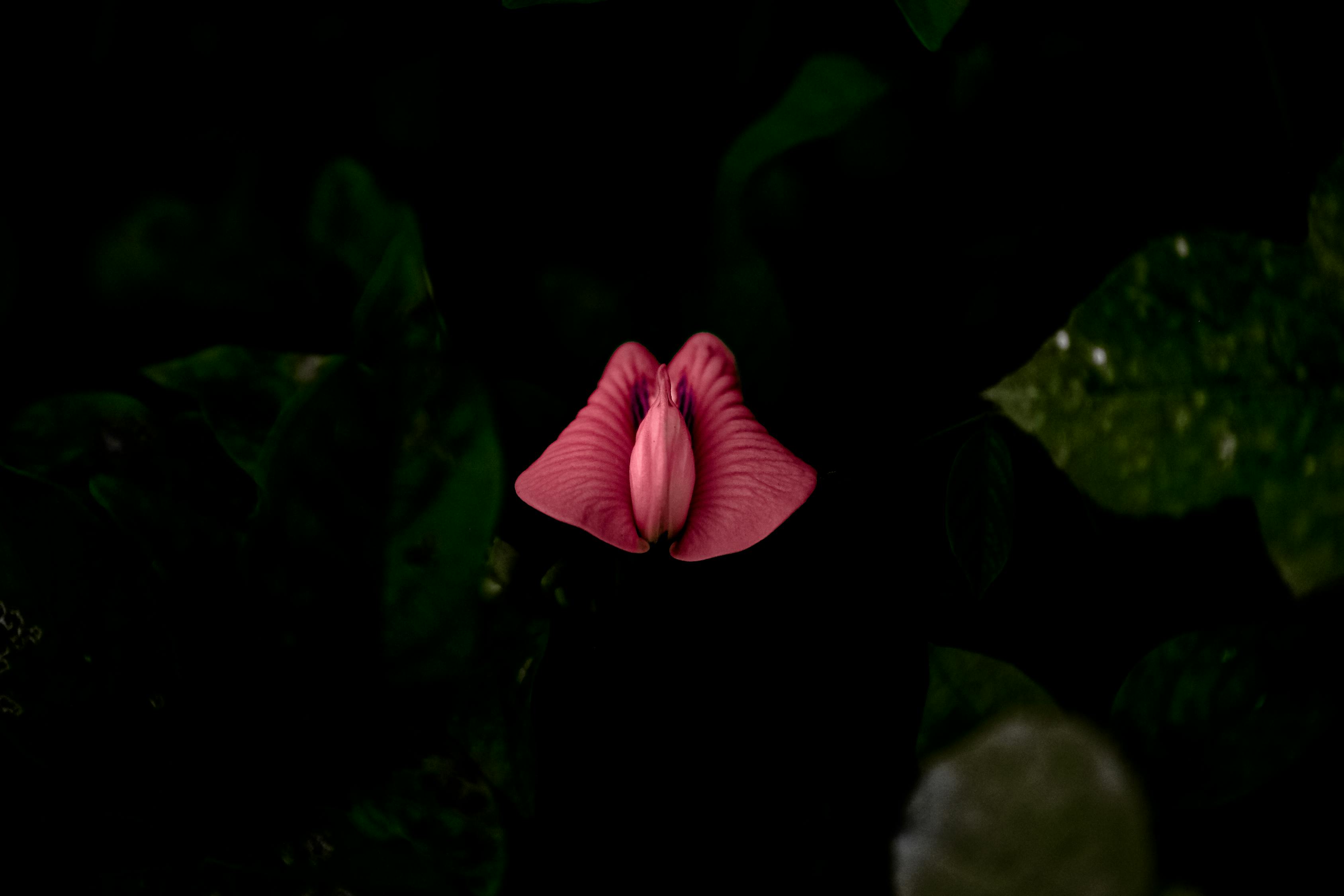 动漫骚头像,流行文化中的独特魅力风采