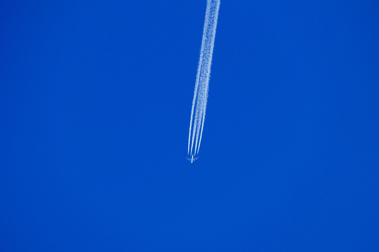 肥西盛荣春天最新动态速递