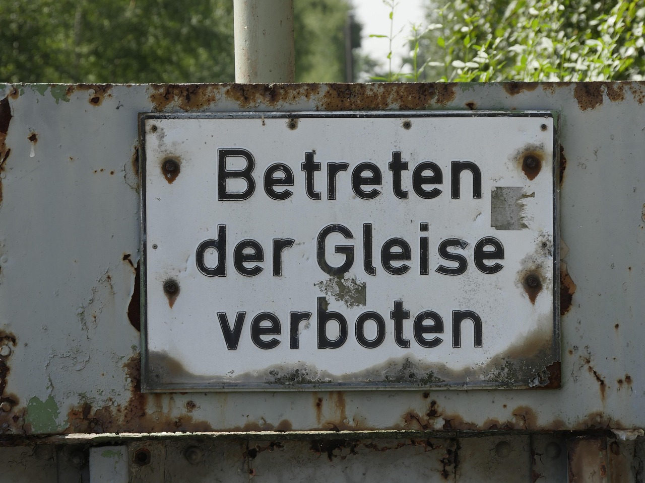 网信理财最新动态,行业趋势、产品创新与风险控制策略解析