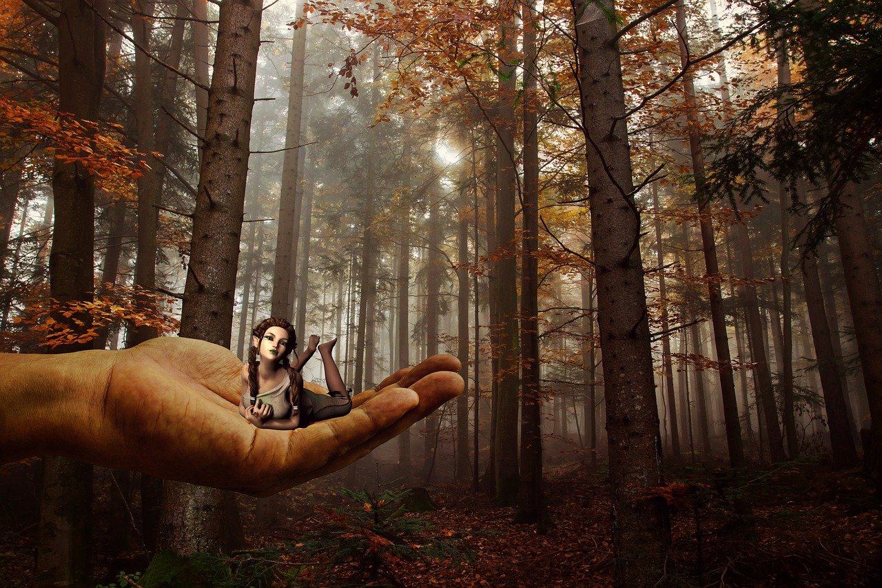 小狐狸电影，魔法与冒险的完美融合之旅