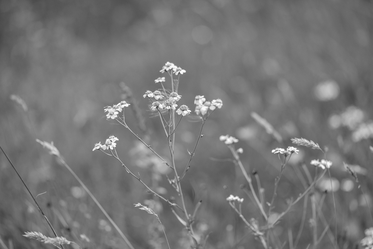 南宁市江南区最新职位招聘动态更新