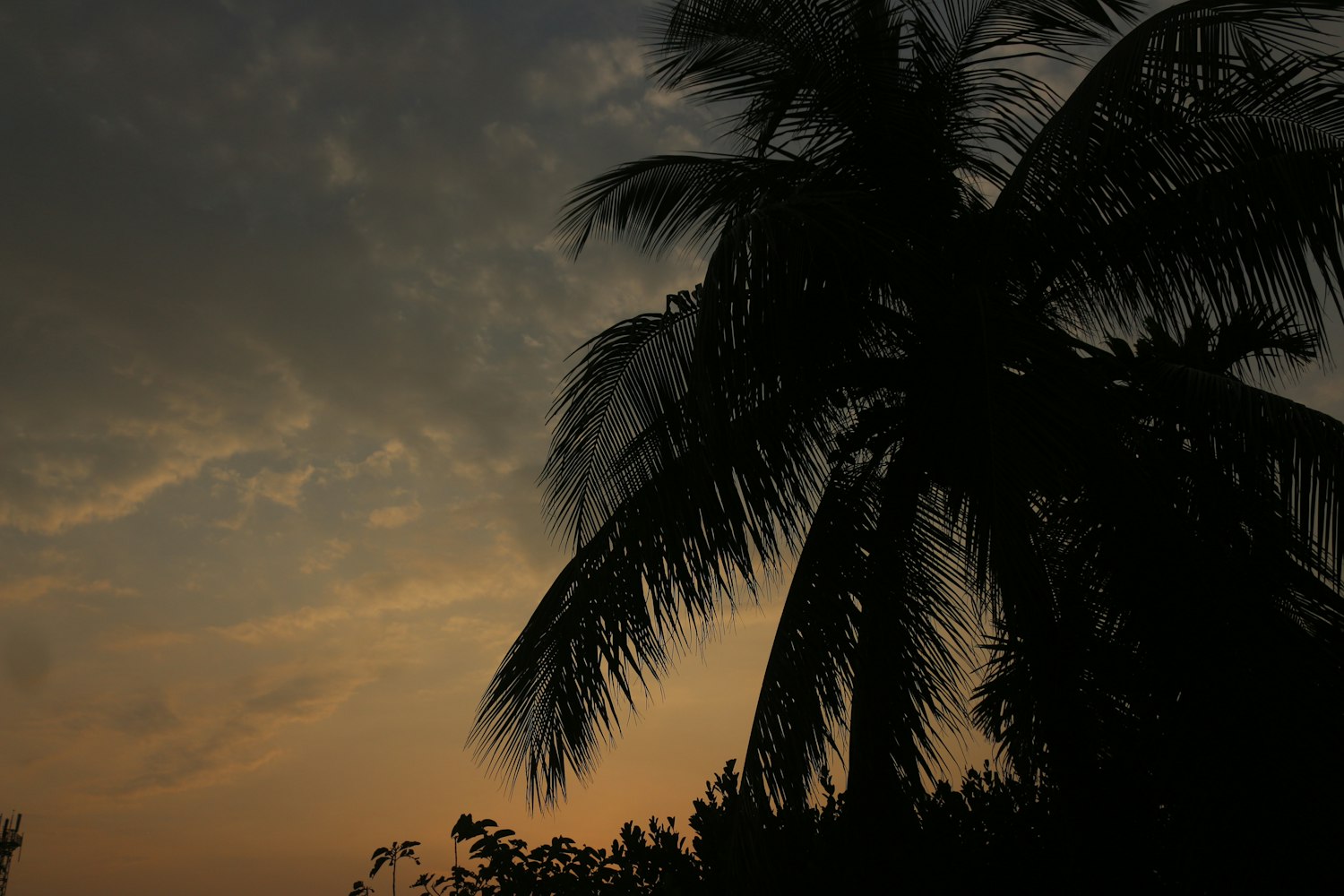 最新问道版本,探索游戏新纪元之旅