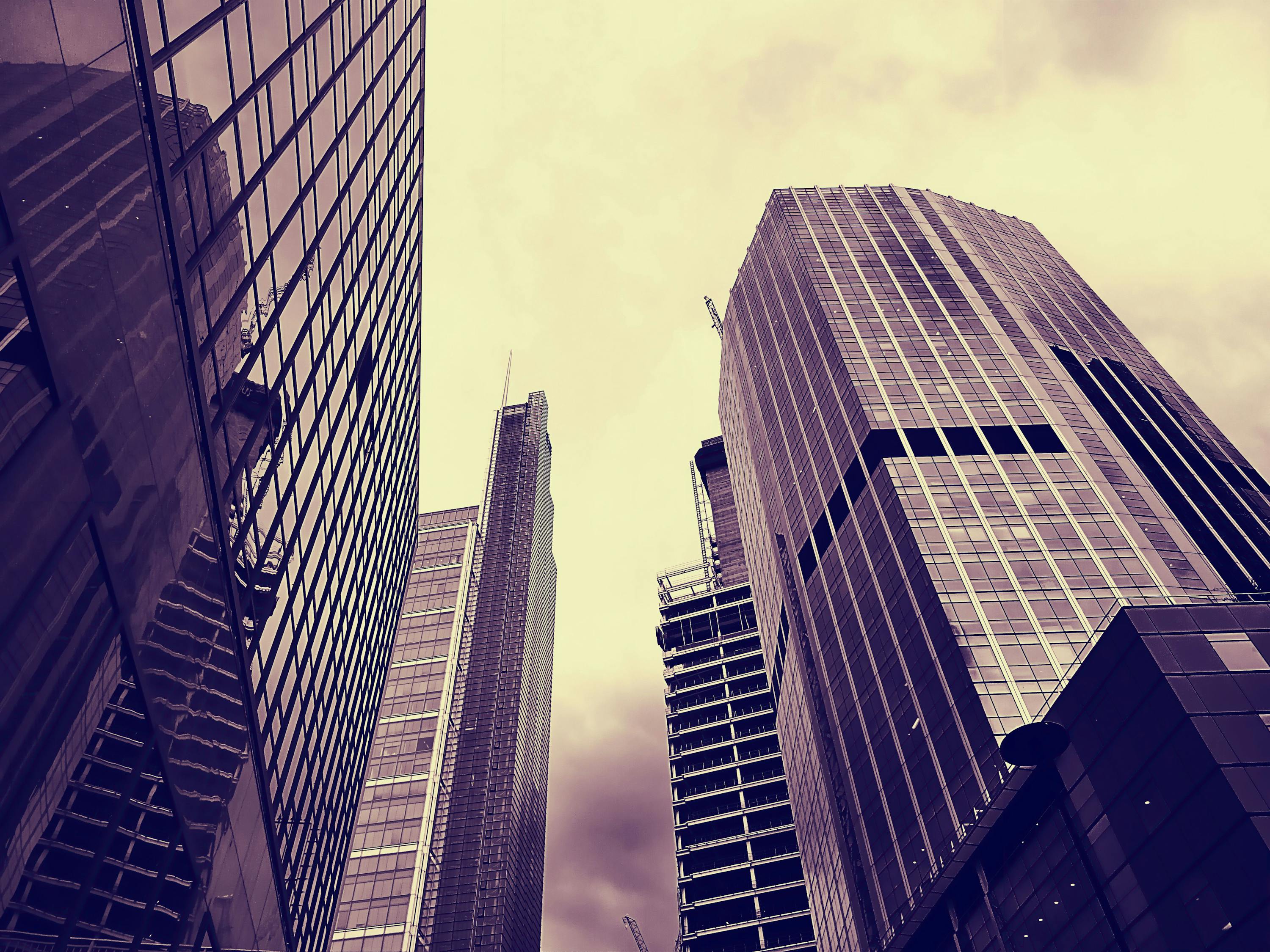 长垣吧最新资讯,城市发展的脉搏与热点全聚焦