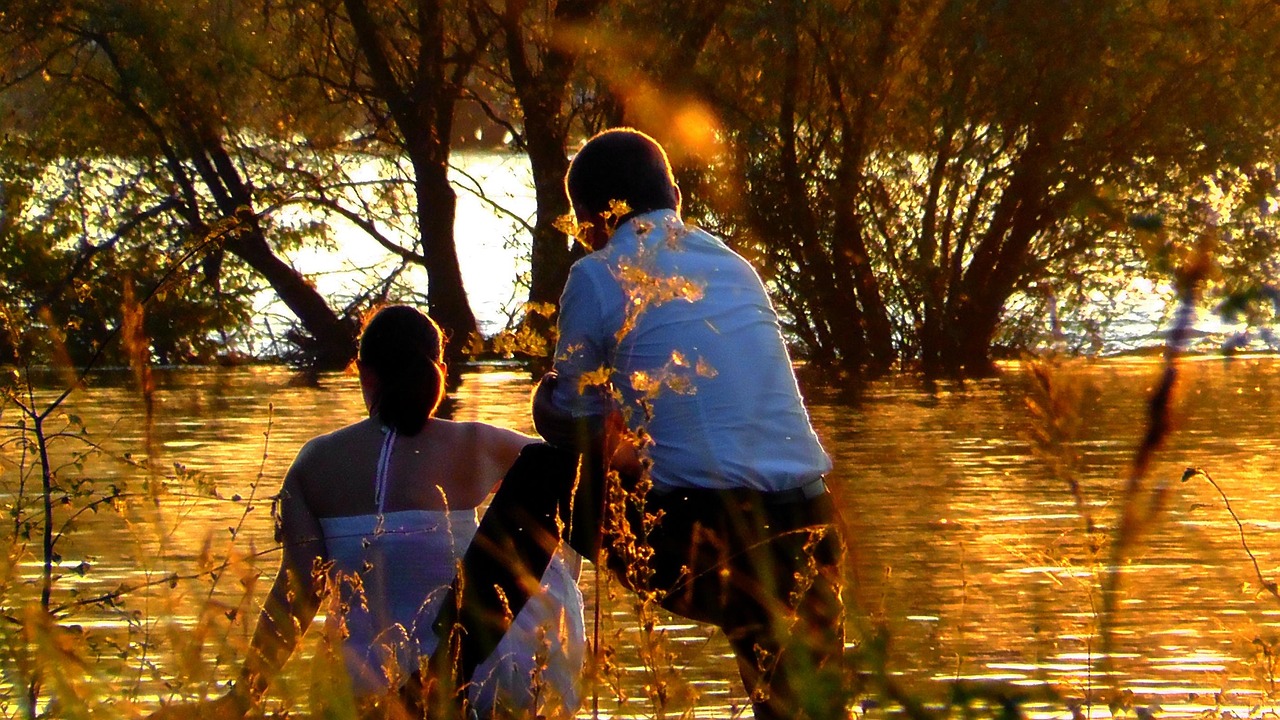 海豚湾恋人电视剧深度解析与在线观看指南