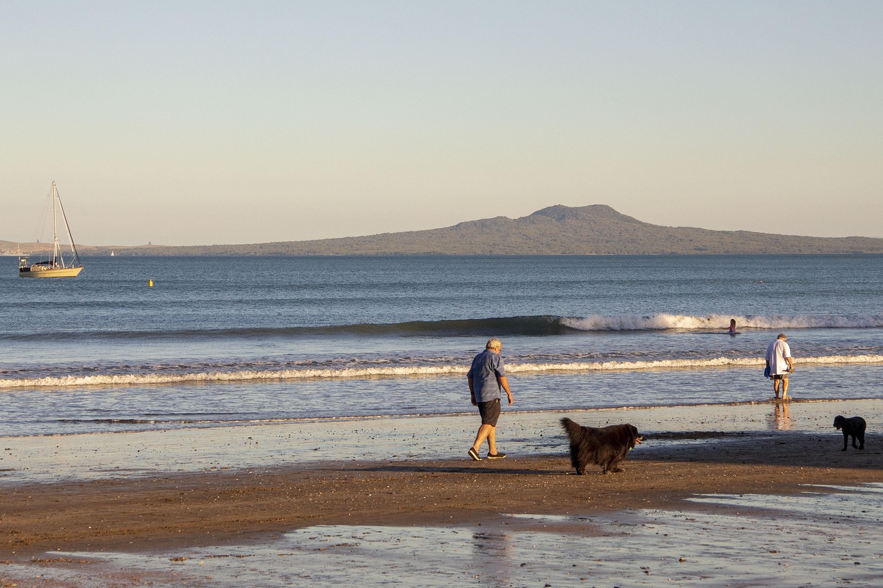 退休养老金最新动态，改革进展、调整方案及未来展望