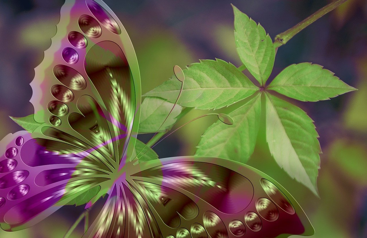 电影一枝梨花压海棠,美学与情感的交织展现