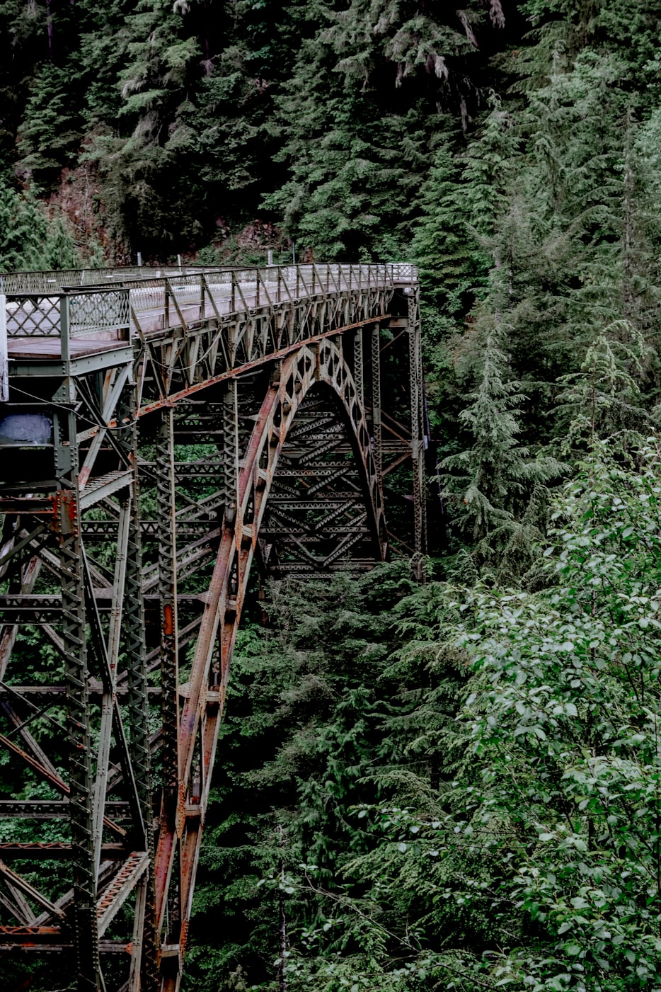 最新交友平台,全球连接的桥梁