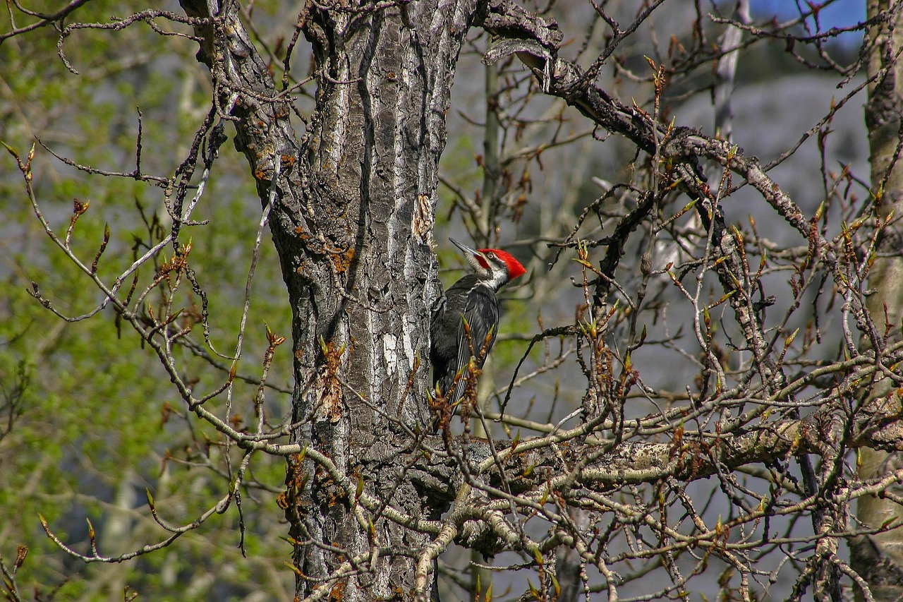 长春最新资讯概览,最新动态一网打尽