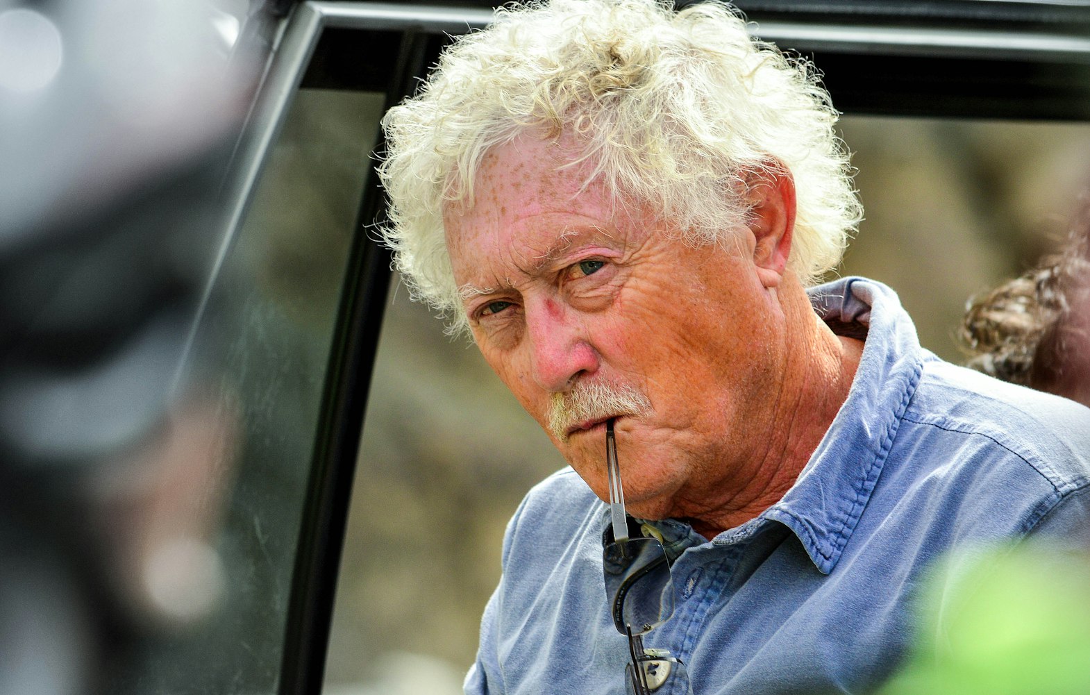 狐狸最新动态观察与生态研究综述