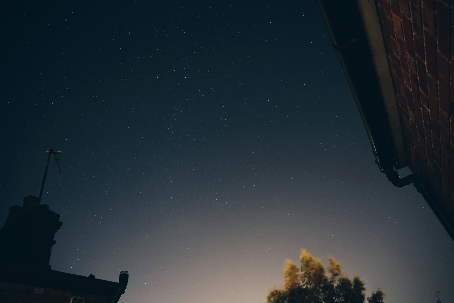 楚雄明星璀璨闪耀,文化天空的亮丽之光