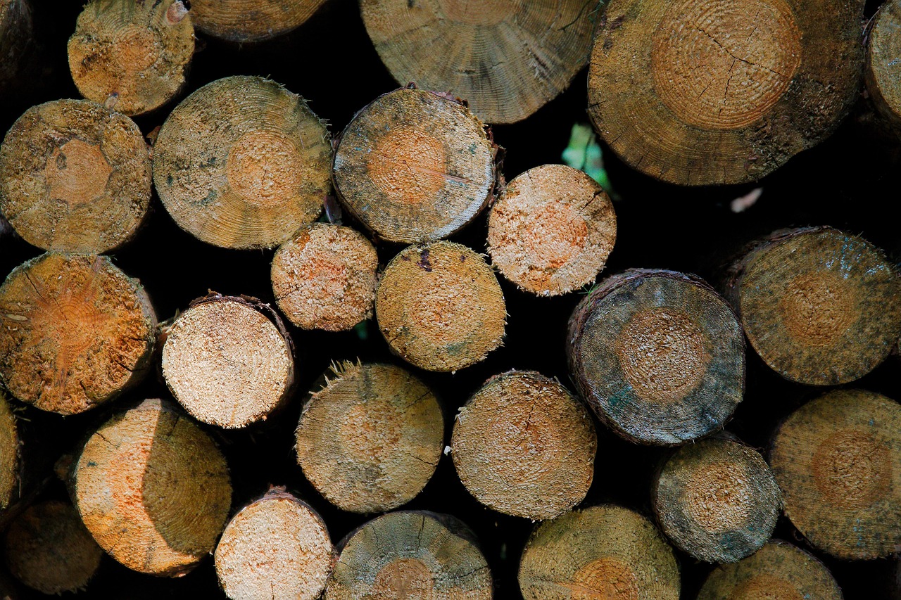 全国羊价最新动态,市场走势分析与预测,羊价变动概览