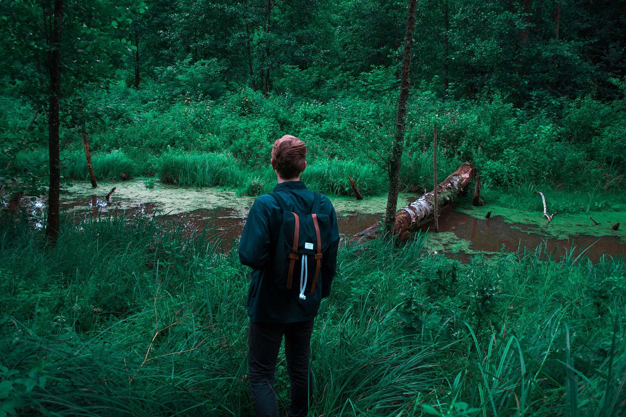 动漫字幕下载,探索与体验之旅