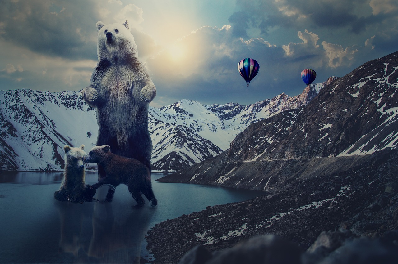 动漫字幕下载,探索与体验之旅