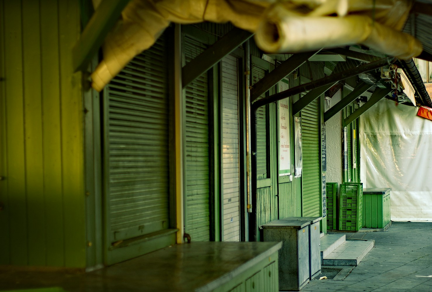 广东冠昊生物引领行业前沿,展现创新力量最新动态速递