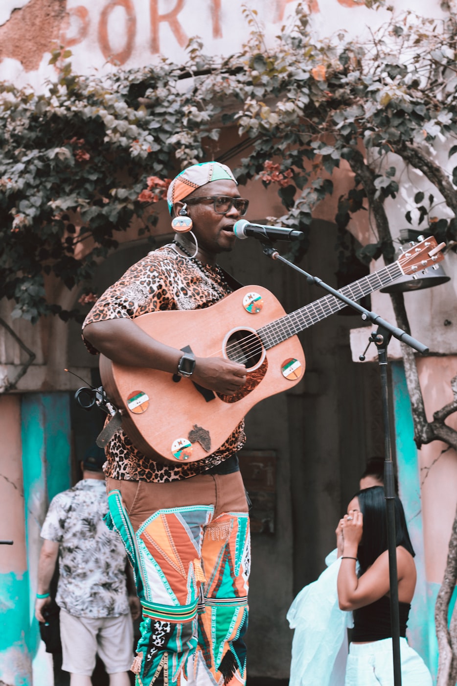电视剧亲情树,演绎家庭情感的真挚画卷,展现亲情的力量与温暖