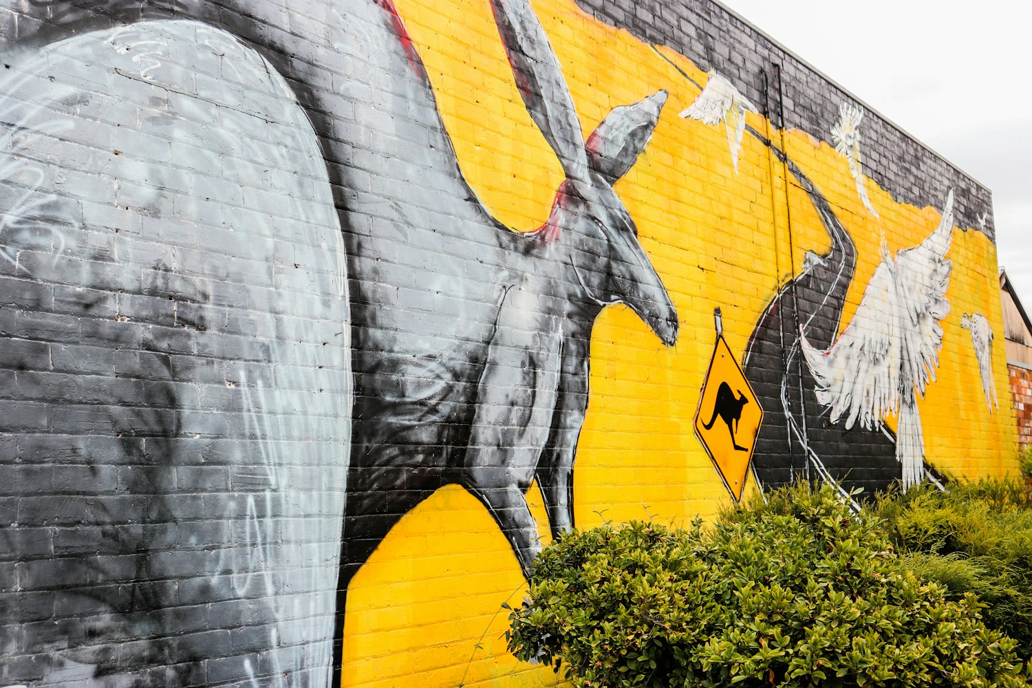 罗紫嫣近期作品的创作思考与艺术魅力探索