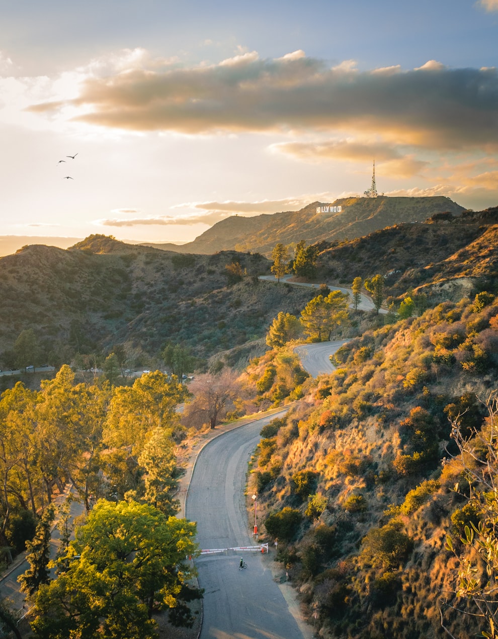 荒村野性最新篇章,自然与人文的交融之美