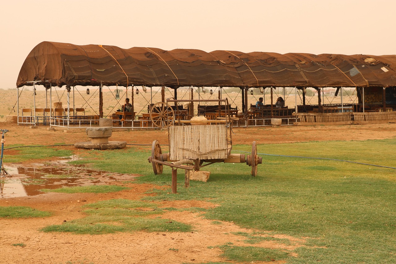 天津津南区蓬勃发展,最新动态揭示繁荣区域新面貌