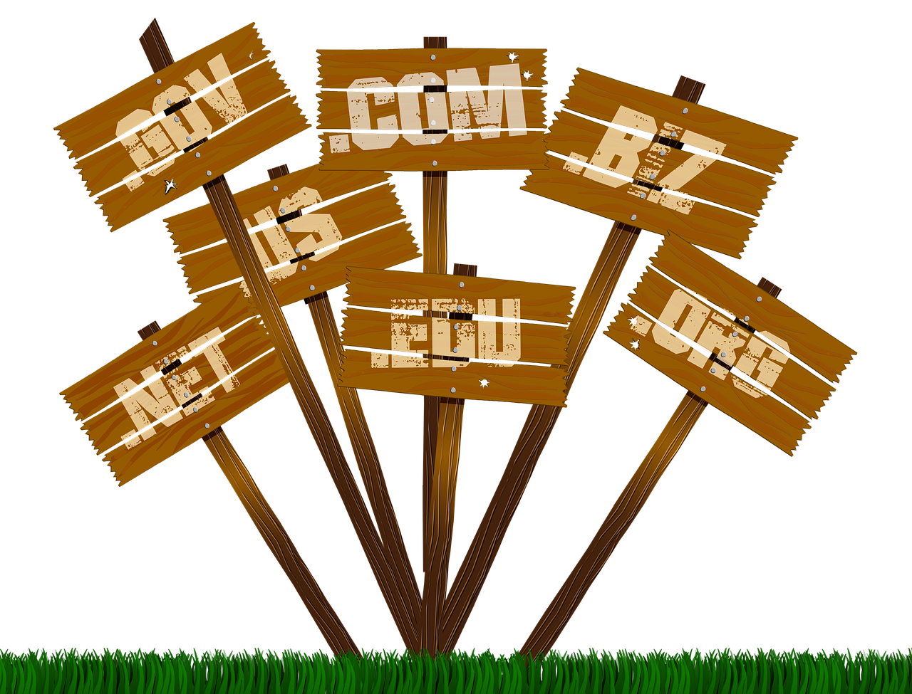 洞悉互联网前沿动态与趋势,最新域名消息速递